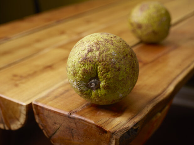 Whole Raw Tropical Breadfruits on Wooden Table with Bokeh Effect