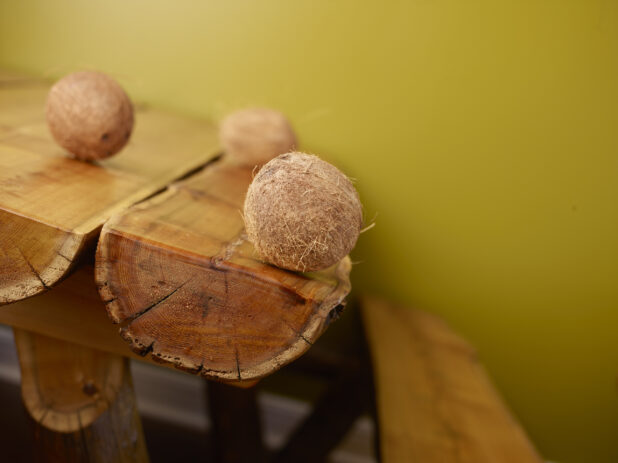 Fresh Whole Coconuts on Wooden Log Table with a Green Background and Bokeh Effect