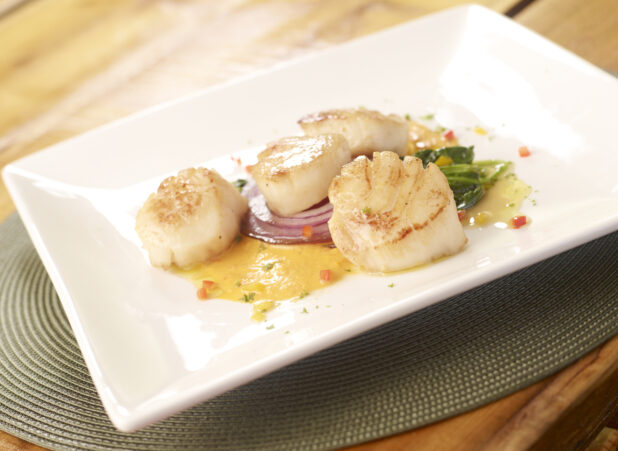 Pan Seared Scallops with Sauce on a Square White Dish with a Red Onion Slice on an Orange Placemat on a Wooden Table - variation