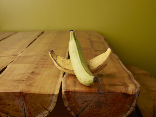 Raw, Whole Green and Yellow Cooking Plantains on Wooden Log Table with Green Background and Bokeh Effect