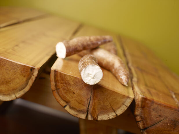 Raw Cassava Root on Wooden Table with Green Background and Bokeh Effect - Variation