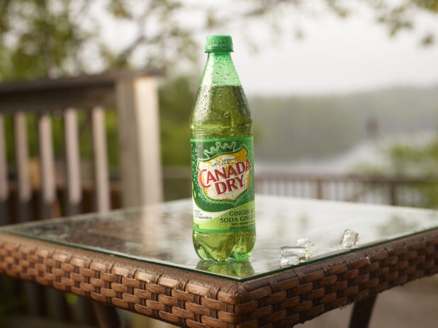 Plastic Bottle of Canada Dry Brand Ginger Ale on a Glass Patio Table with Ice Cubes in an Outdoor Setting
