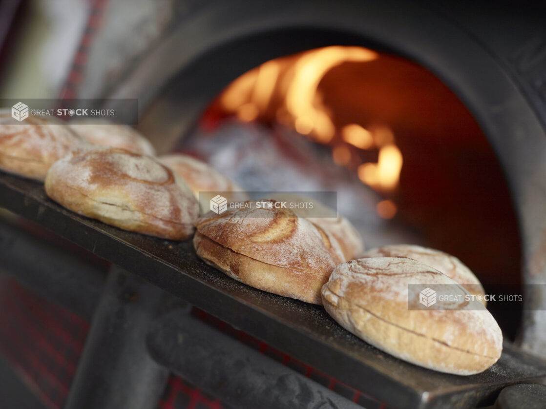 Freshly Baked Kaiser Rolls Sitting Outside a Wood Fire Oven