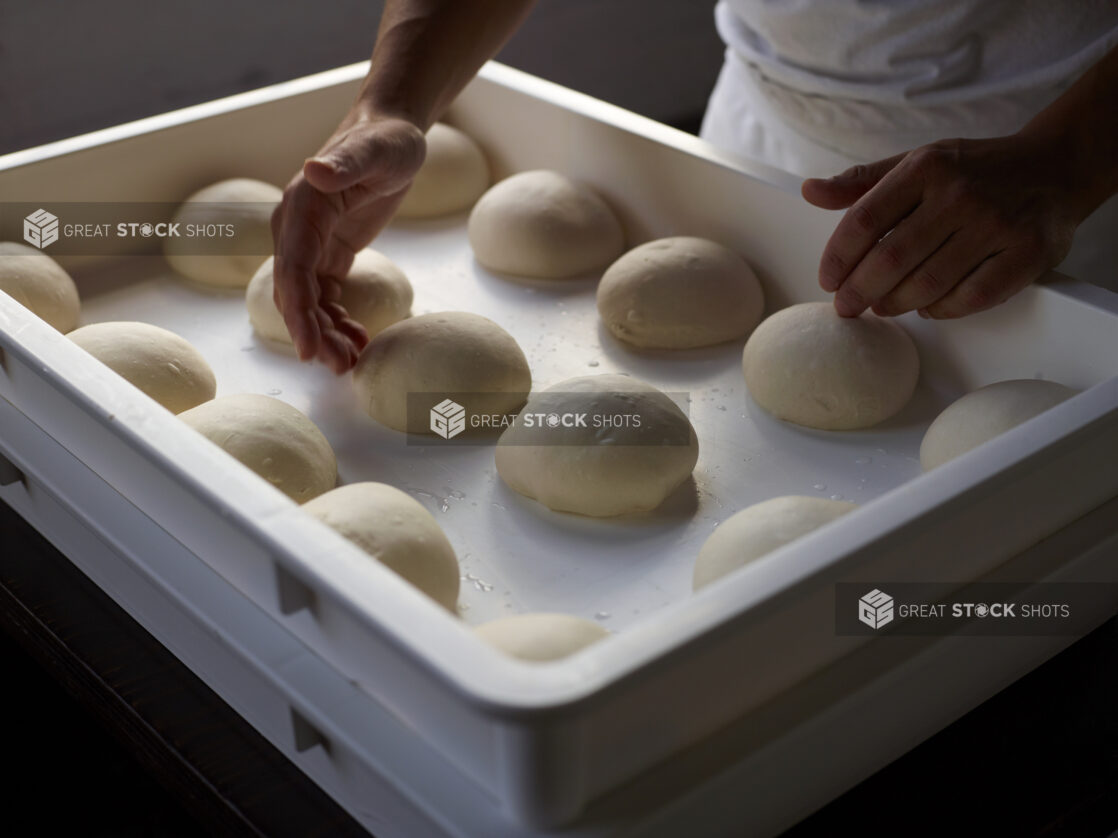 Pizzaiolo Chef Hands Shaping Pizza Dough Balls into Container - variation