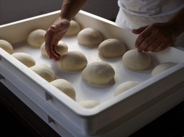 Pizzaiolo Chef Hands Shaping Pizza Dough Balls into Container - variation