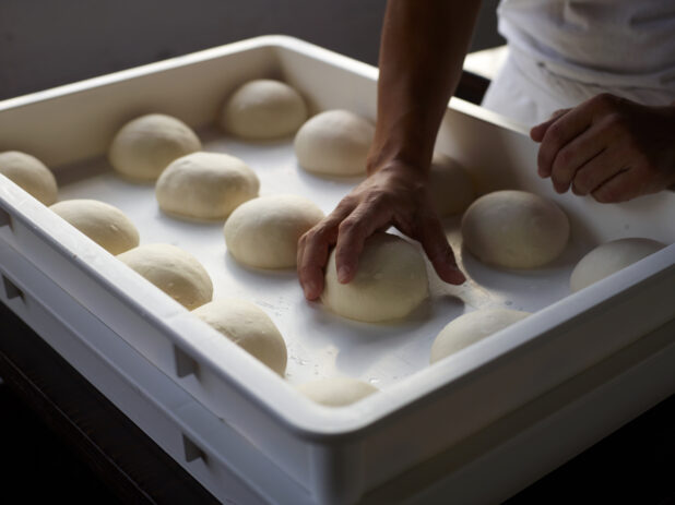 Pizzaiolo Chef Hands Shaping Pizza Dough Balls into Container