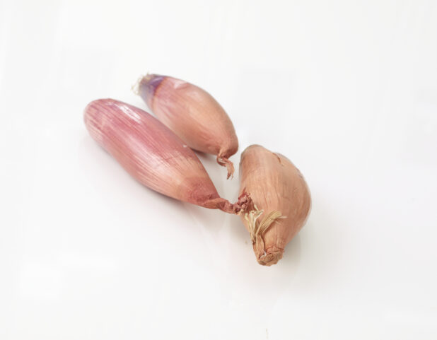 Shallots - Raw Ingredients on White