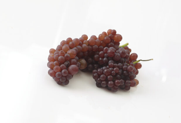 Whole red grapes in a bunch in a close up view on a white background