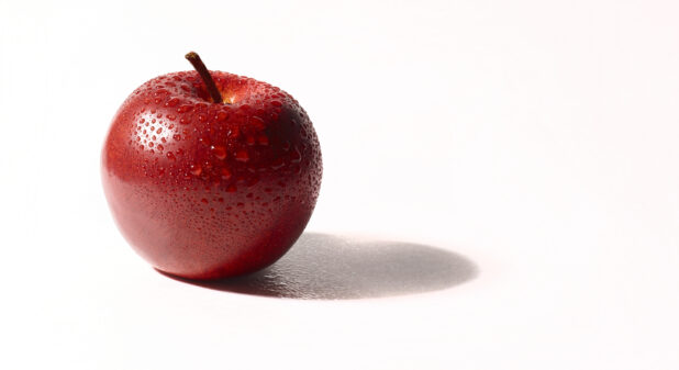 A red apple with beads of water on a white background