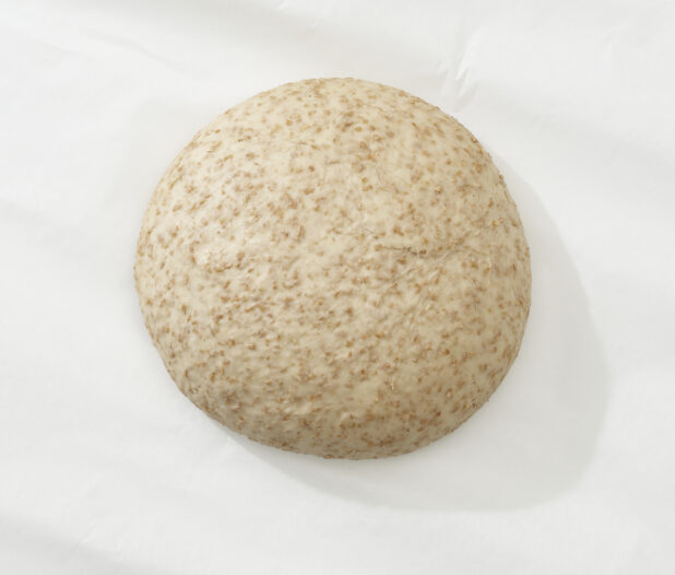Overhead View of a Whole Wheat Pizza Dough Ball, on a White Background for Isolation