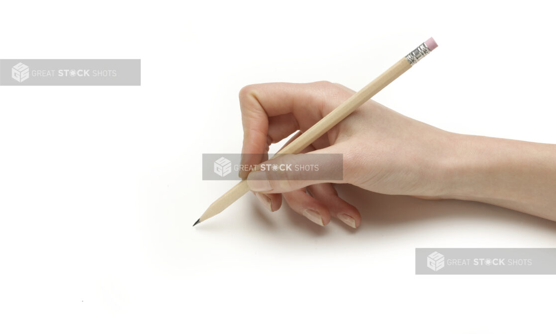 Close Up of a Person's Hand Holding a Sharpened School Pencil shot on White for Isolation