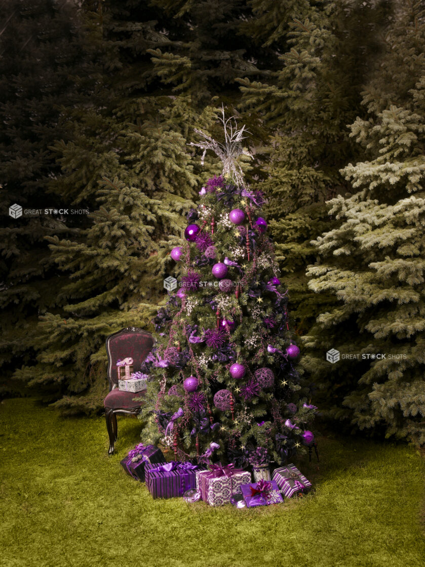 Purple Themed Christmas Tree with Decorations and Presents in an Outdoor Nature Setting with Evergreens and an Antique Chair