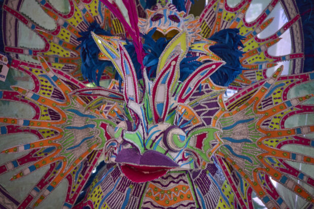 Close Up of a Colourful Bahamian Parade Costume of a Lion Fish in a Museum in Nassau, Bahamas