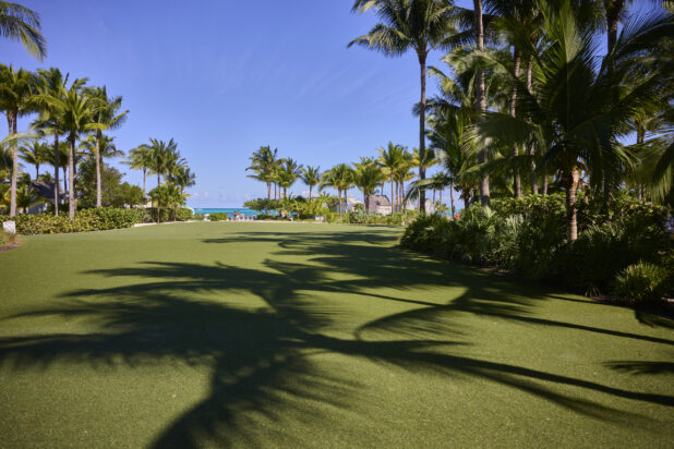 Outdoor Area With Manicured Grass, Shrubbery and Palm Trees in a Resort Hotel in Nassau, Bahamas