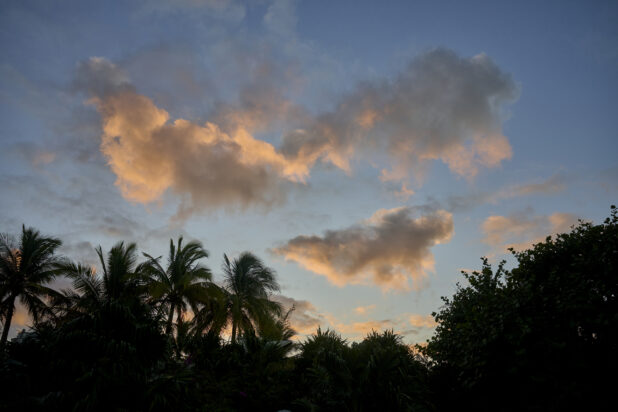 Sun Set Over a Tree Line of Palm Trees in a Resort in Nassau, Bahamas