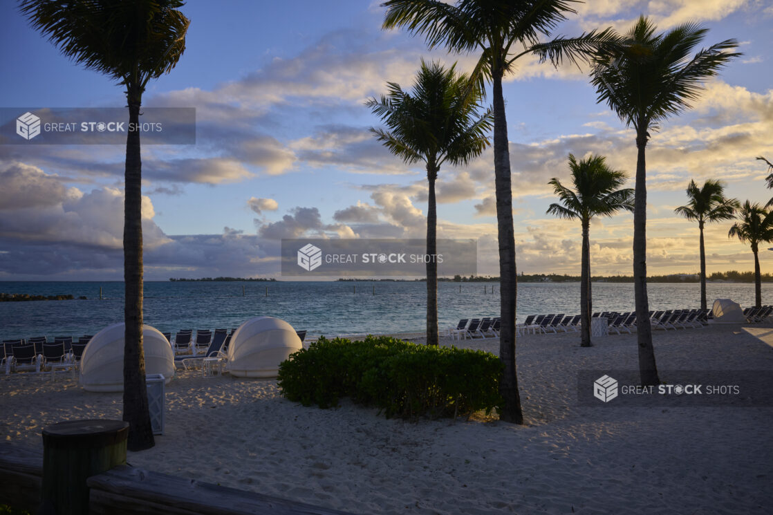 White Sandy Beach at Sunset with Numerous Beach Chairs, Beach Tents and Palms Trees in Nassau, Bahamas