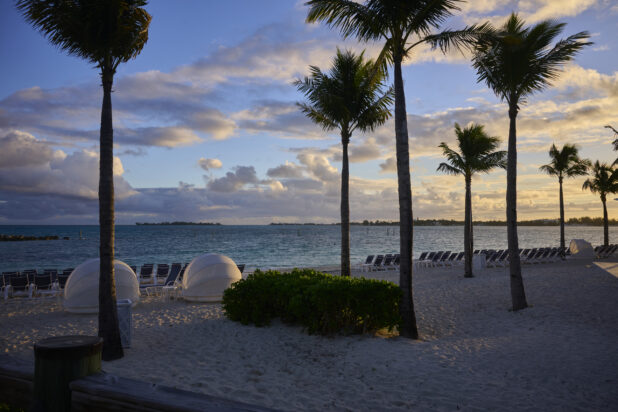 White Sandy Beach at Sunset with Numerous Beach Chairs, Beach Tents and Palms Trees in Nassau, Bahamas