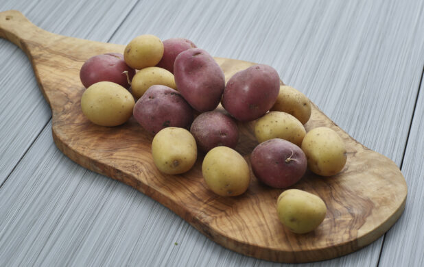 Red and white potatoes piled on a wooden paddle, close-up