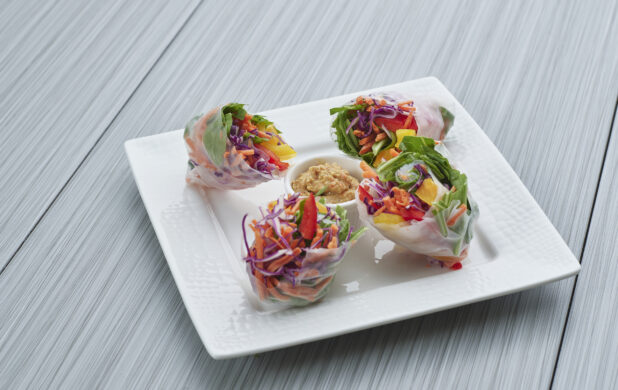 Four brightly-coloured fresh rice paper spring/summer rolls on a decorative square white plate, close-up