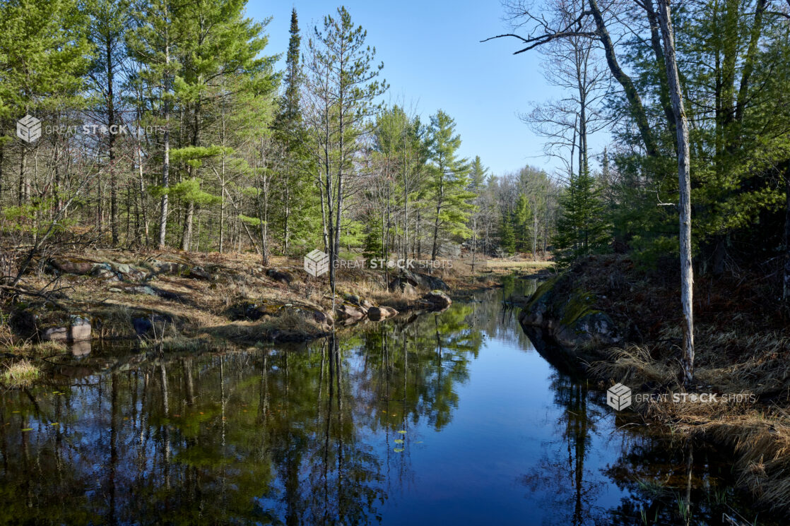 View Along a Quiet River Lined With Pine Trees in Cottage Country, Ontario, Canada