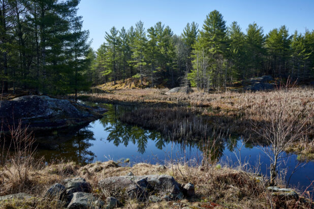 View of a Quiet River at the Beginning of Spring in Cottage Country, Ontario, Canada - Variation