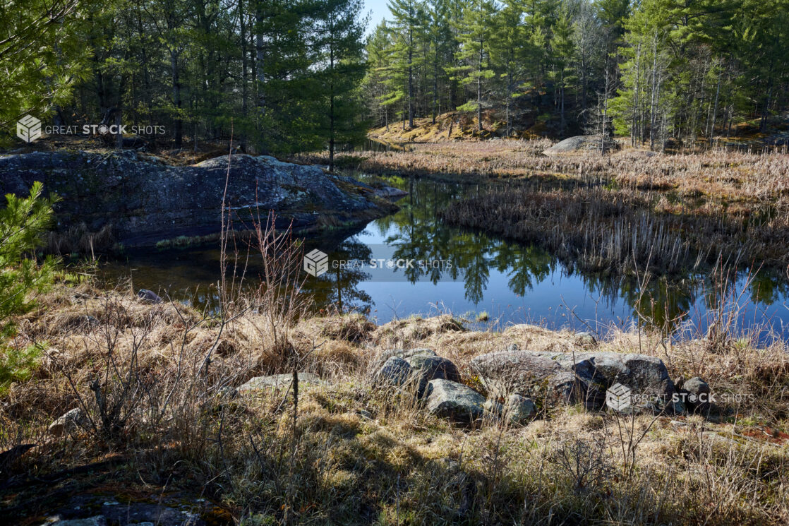 View of a Quiet River at the Beginning of Spring in Cottage Country, Ontario, Canada