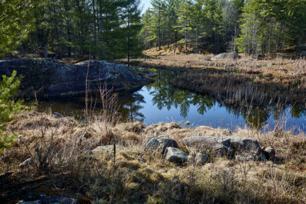 View of a Quiet River at the Beginning of Spring in Cottage Country, Ontario, Canada