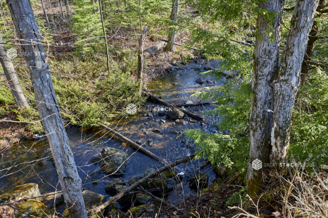 Aerial View Down to a Freshwater River Running Through a Forest in Cottage Country, Ontario, Canada