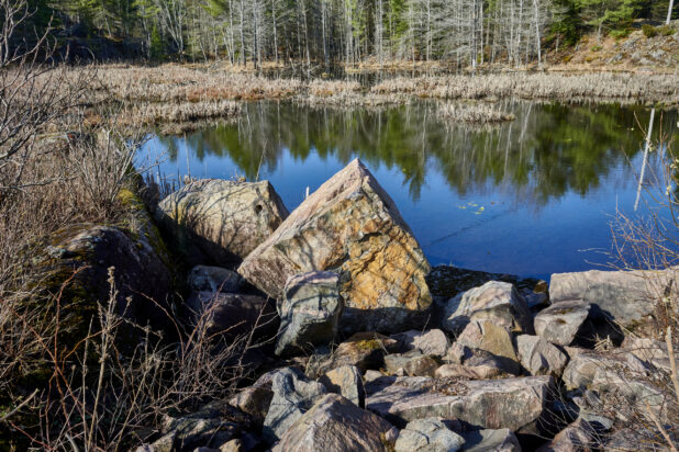 View of Rocks and Boulders by a Lake Lined with Pine Trees and Evergreens in Cottage Country, Ontario, Canada