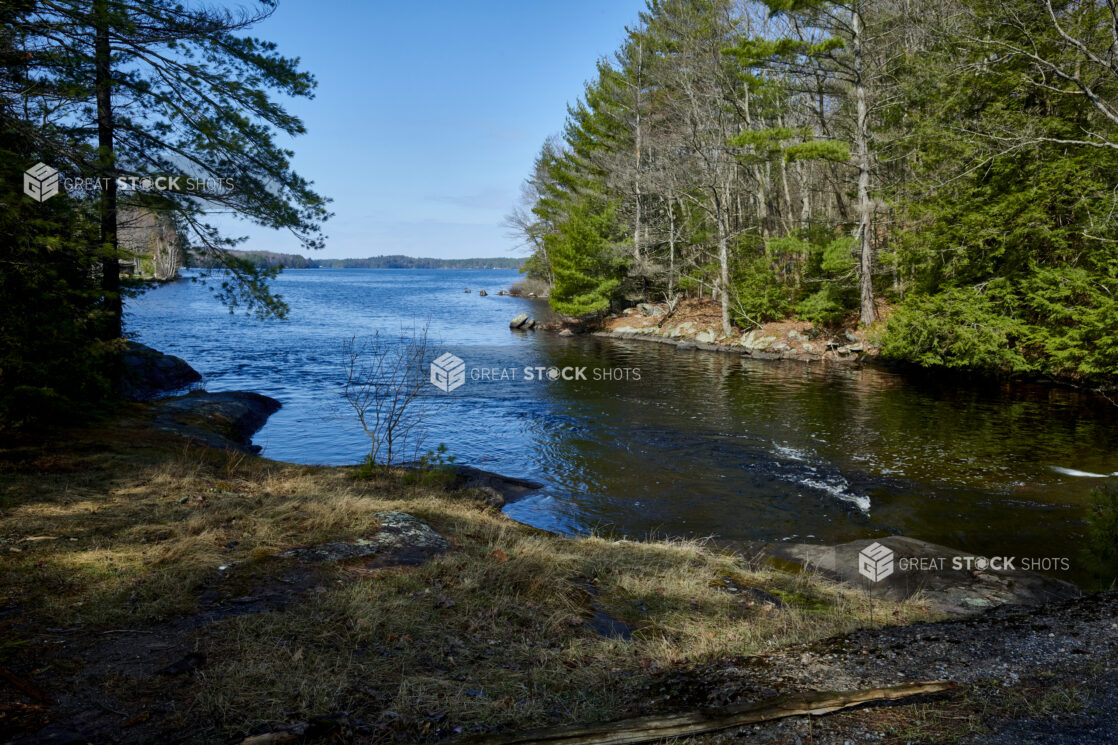 View from a Small Cove on a Large Lake Surrounded by Pine Trees in Cottage Country, Canada - Variation