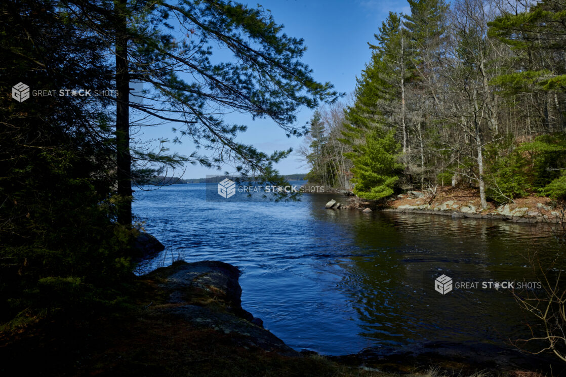 View from a Small Cove on a Large Lake Surrounded by Pine Trees in Cottage Country, Canada