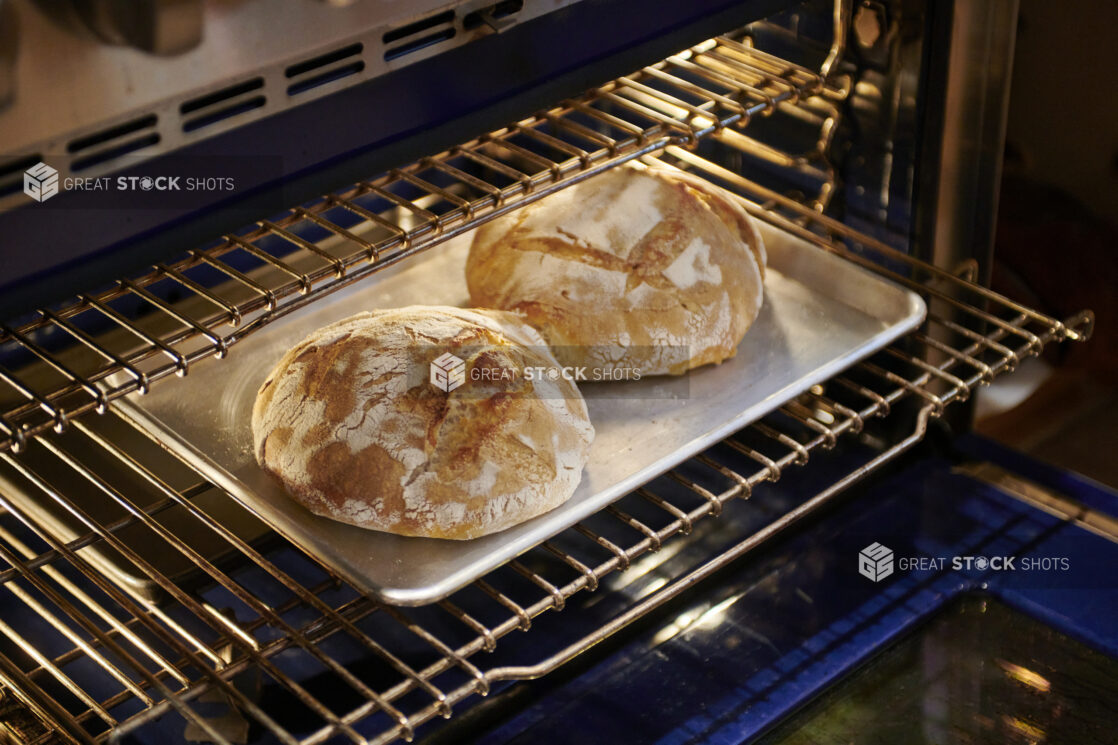 Two Freshly Baked Round Sourdough Loaves on a Stainless Steel Baking Sheet in an Oven in a Home Kitchen Setting