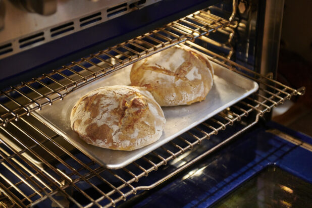 Two Freshly Baked Round Sourdough Loaves on a Stainless Steel Baking Sheet in an Oven in a Home Kitchen Setting