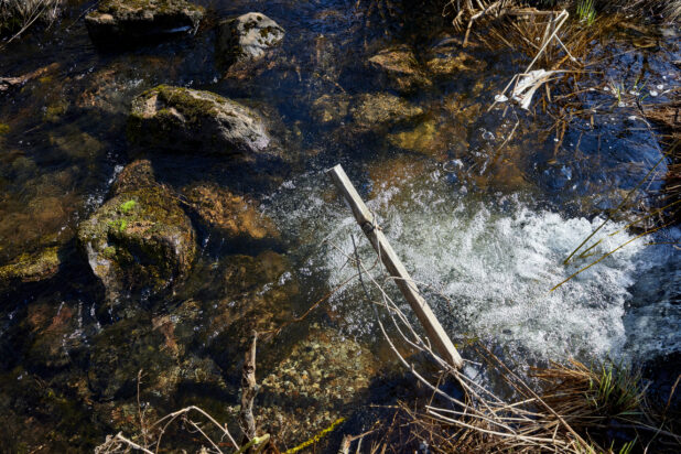 Close Up of Spring Run-Off Water Flowing into a River in Cottage Country, Ontario, Canada