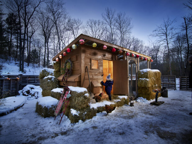 Little Girl and Chickens in Front of a Wooden Chicken Coop Decorated with Christmas Ornaments During Winter in Cottage Country, Ontario, Canada