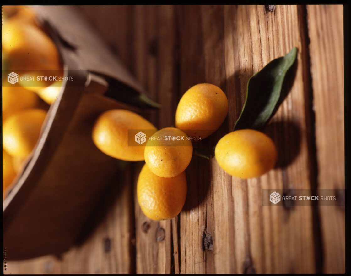 Close Up of a Branch With a Cluster of Kumquat Fruits on a Wooden Table in an Indoor Setting