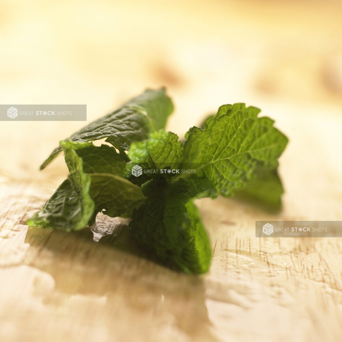 Close Up Shot of a Fresh Peppermint Leaves on a Wooden Board