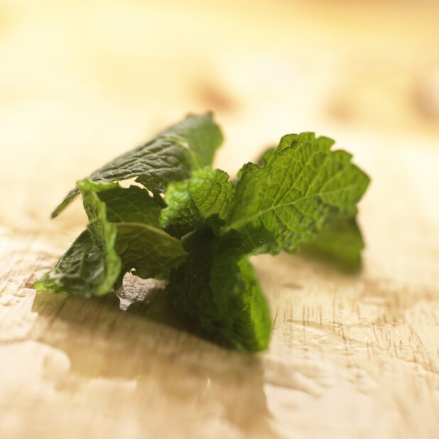 Close Up Shot of a Fresh Peppermint Leaves on a Wooden Board