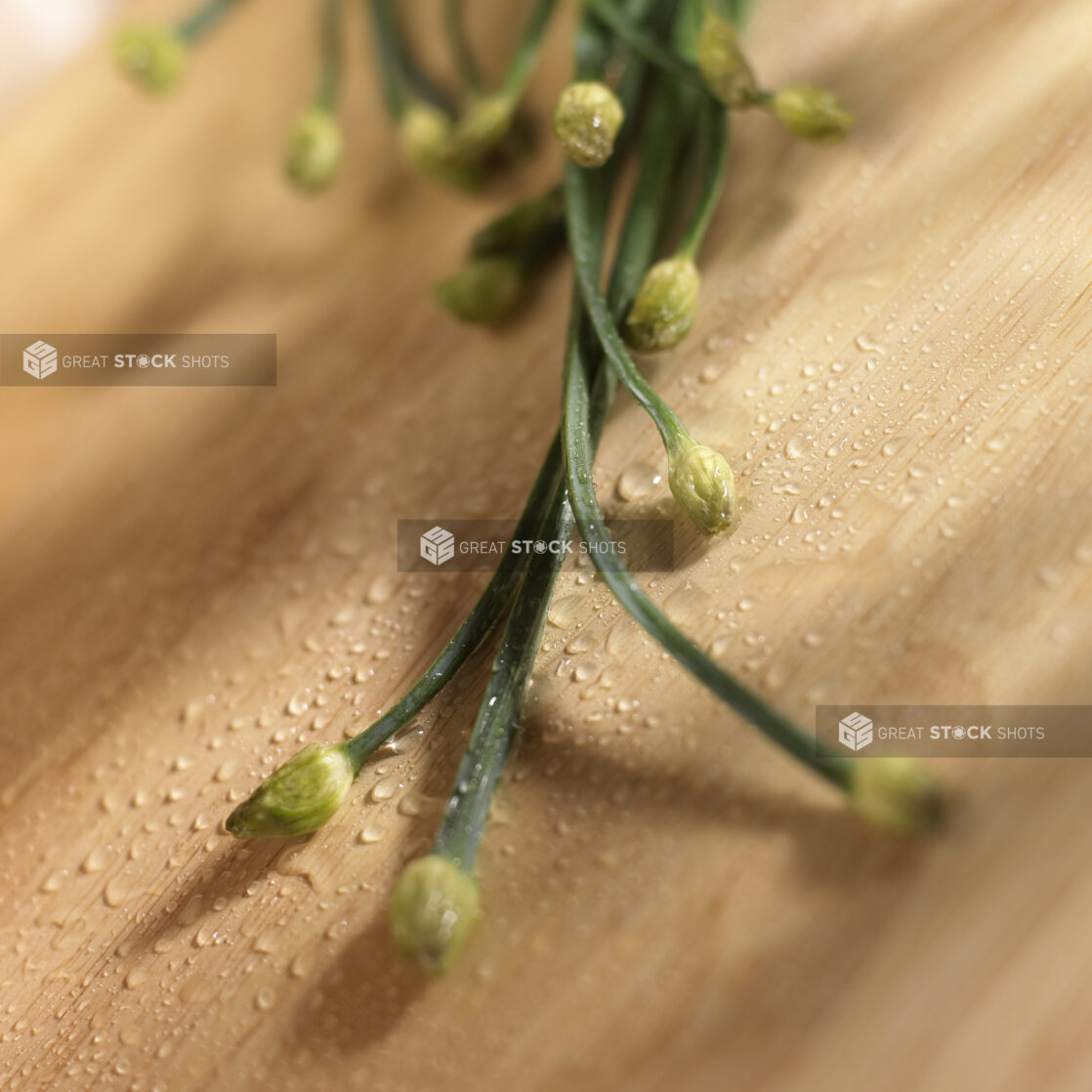 Close Up Shot of Garlic Chive Buds on a Wooden Board