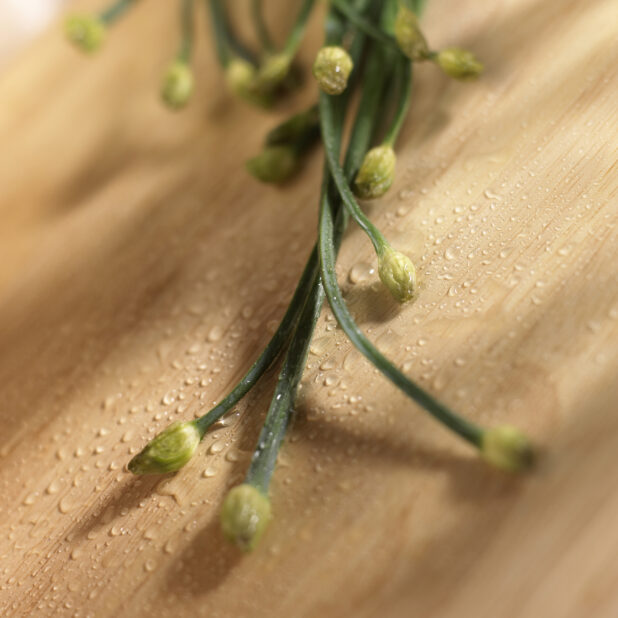 Close Up Shot of Garlic Chive Buds on a Wooden Board