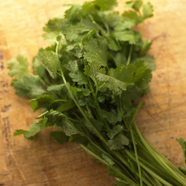 Overhead Shot of a Bundle of Cilantro Leaves on a Wooden Board