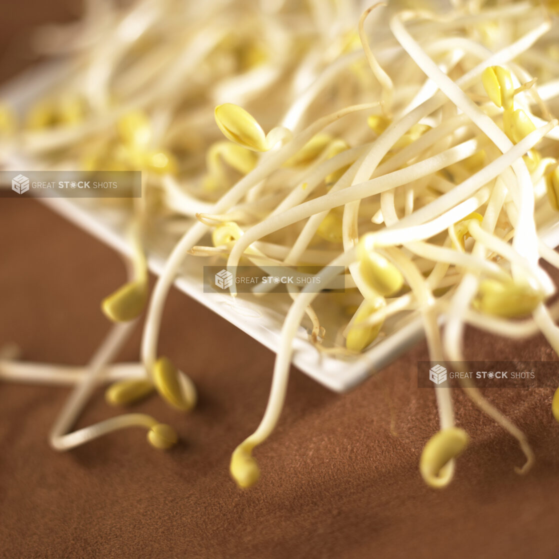 Close Up of a Dish of Fresh Mung Bean Sprouts on a Brown Table Surface