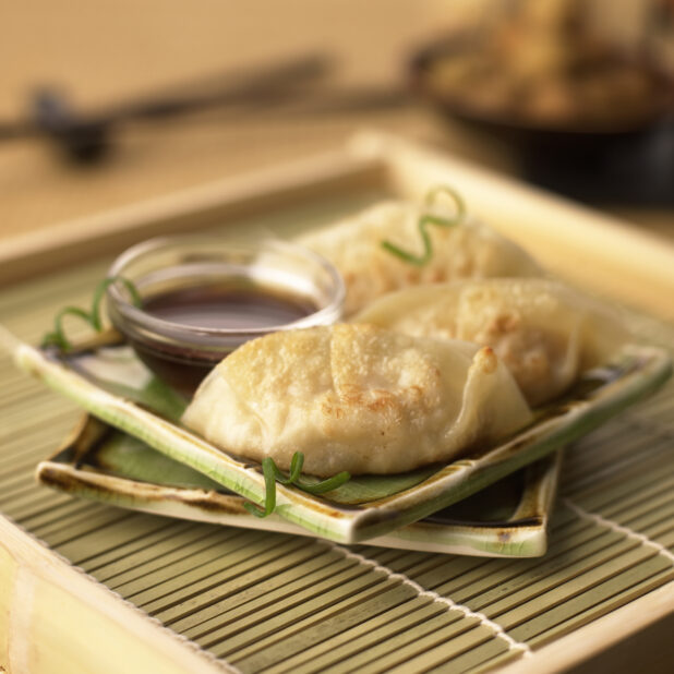 Close Up of a Dish of Japanese Gyoza Dumplings with a Side of Dipping Sauce