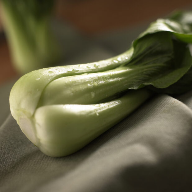 Close Up Shot of Chinese Bok Choy Leafy Vegetables