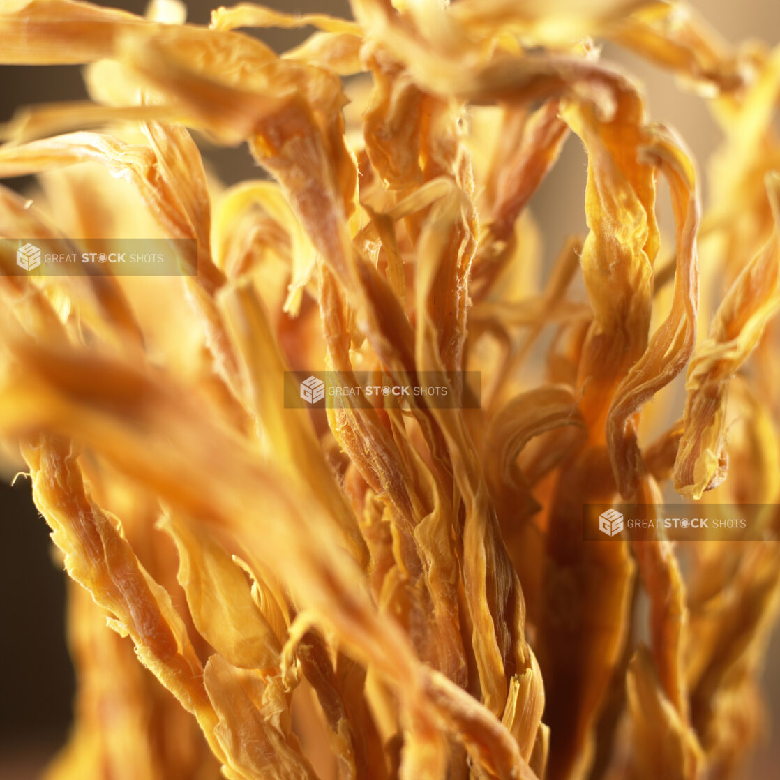 Close Up Shot of a Bundle of Dried Cordyceps Militaris Fungi