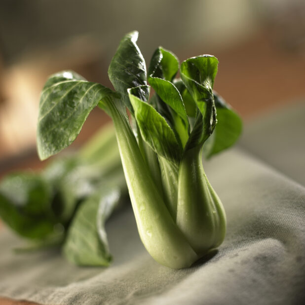 Close Up Shot of Chinese Bok Choy Leafy Vegetables - Variation