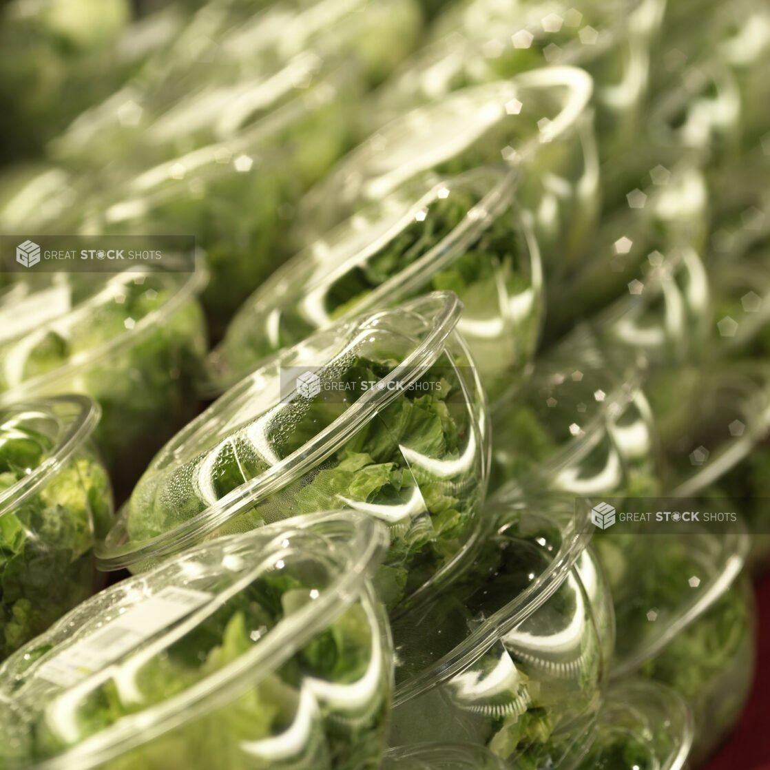 Fresh Chopped Romaine Lettuce in Stacked Clear Plastic Containers in a Gourmet Grocery Store