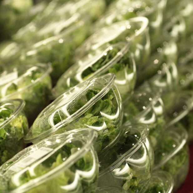 Fresh Chopped Romaine Lettuce in Stacked Clear Plastic Containers in a Gourmet Grocery Store