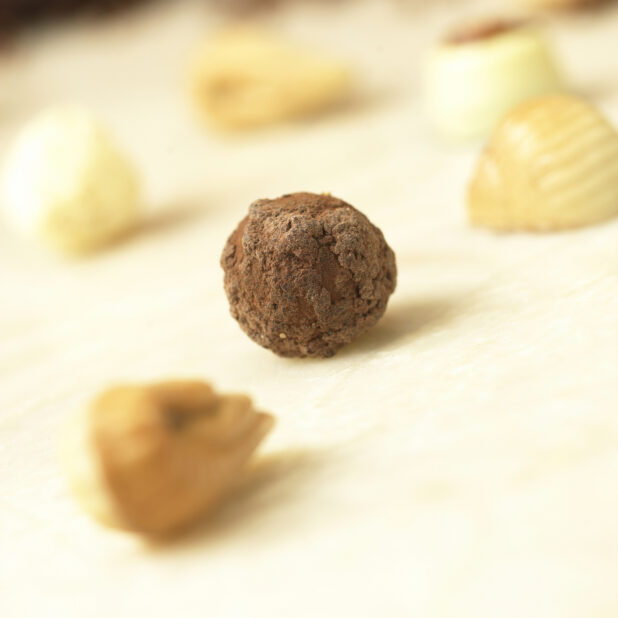 Close Up of a Chocolate Truffle Ball in an Indoor Setting
