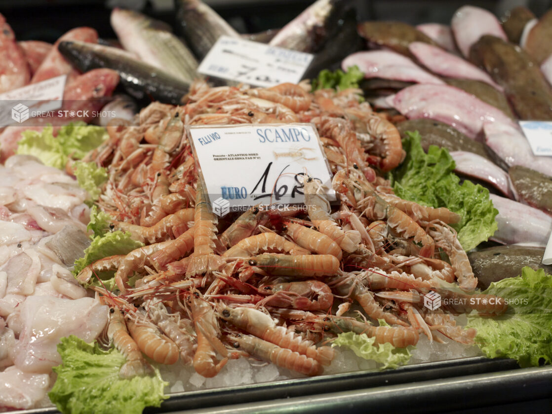 Fresh Scampi Shrimp at a Seafood Stall in a Food Market in Venice, Italy